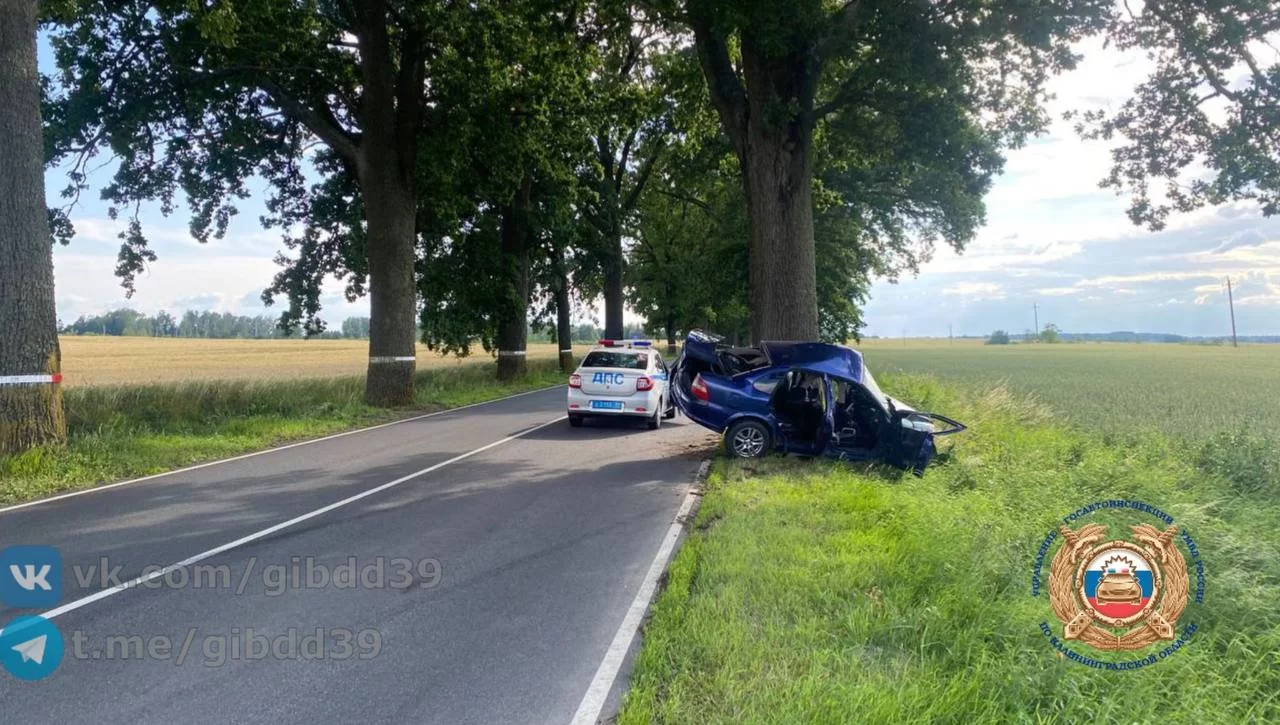 В Гусевском районе автомобиль врезался в дерево — водитель госпитализирован