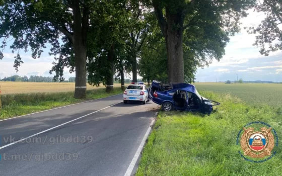 В Гусевском районе автомобиль врезался в дерево — водитель госпитализирован