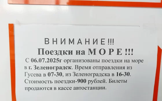Из Черняховска и Гусева организованы поездки на море в Зеленоградск