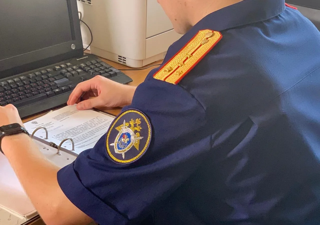 Председатель СК России затребовал доклад по делу об избиении школьницы в Гусеве