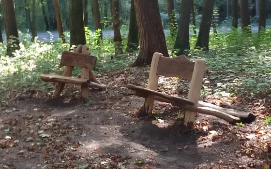 В Грэсовский лес после ремонта вернулись скамейки
