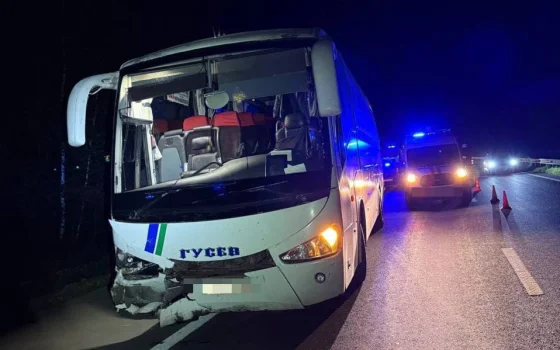 Гусевский автобус попал в смертельное ДТП под Гвардейском