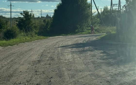 В микрорайоне Луговое завершили плановые работы по грейдированию дорог