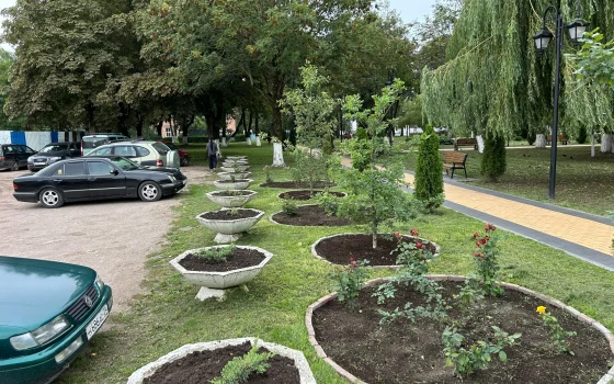 Специалисты «Чистоты» готовят зеленые насаждения в городе к зиме