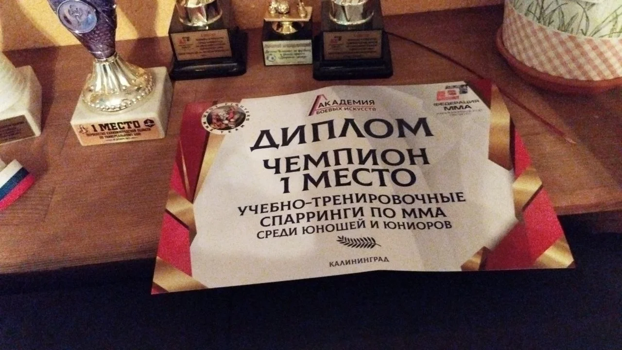 Команда Гусева заняла первое место в турнире по смешанным единоборствам