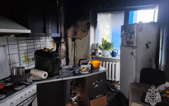 Сотрудники МЧС спасли четырех человек при пожаре в Гусеве на Сосновом переулке