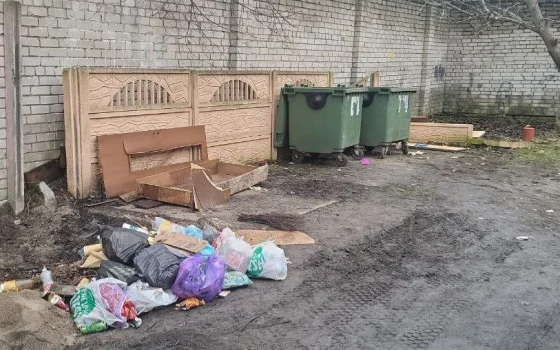 Местные власти призывает граждан не бросать мусор мимо баков