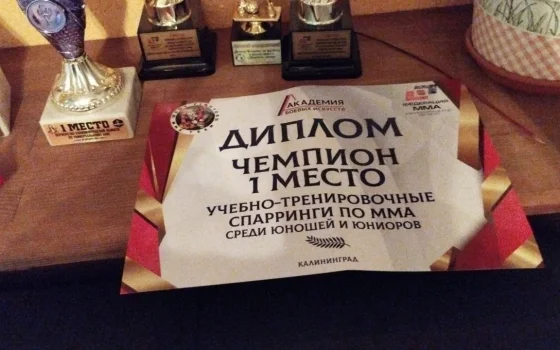 Команда Гусева заняла первое место в турнире по смешанным единоборствам