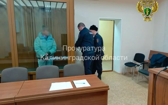 Жительницу Гусевского района обвиняют в убийстве своего внука