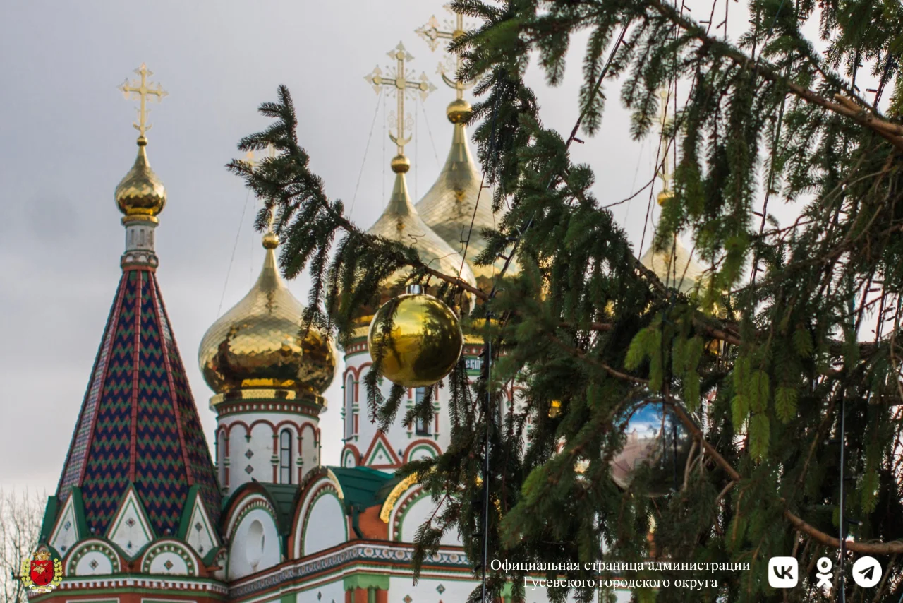 Главную новогоднюю ёлку планируют доставить в Гусев на этой неделе
