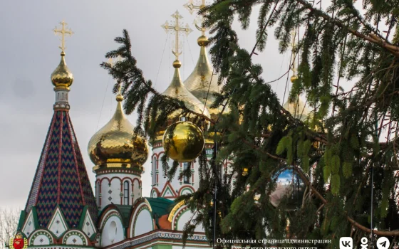 Главную новогоднюю ёлку планируют доставить в Гусев на этой неделе