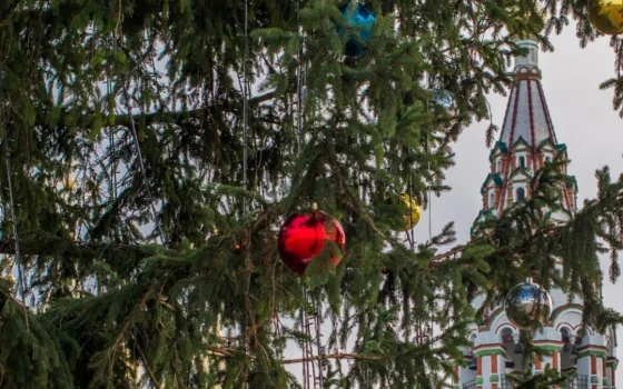 Главную ёлку города доставят сегодня на центральную площадь