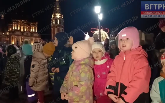 Дед Мороз и Снегурочка зажгли огни на главной елке Гусева