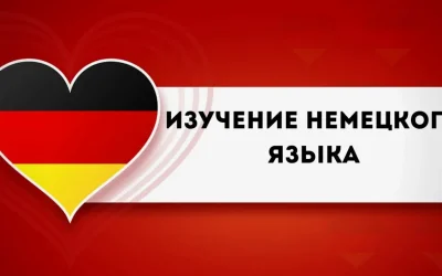 Услуги