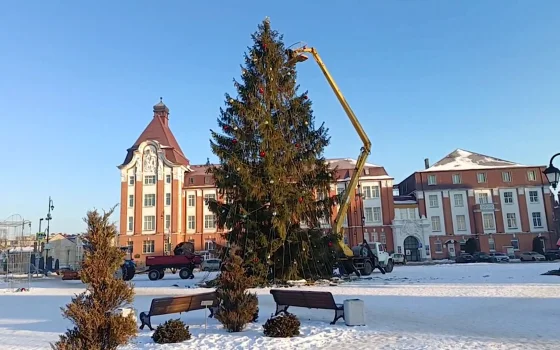 В Гусеве приступили к демонтажу главной новогодней красавицы