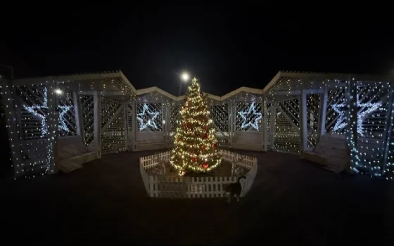 Подведены итоги фотоконкурса «Гусев-Амбассадор 2026. В кадре Новый год!»