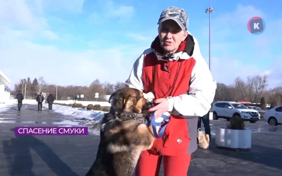 Спасённая от усыпления собака из Орска обрела дом в Гусеве
