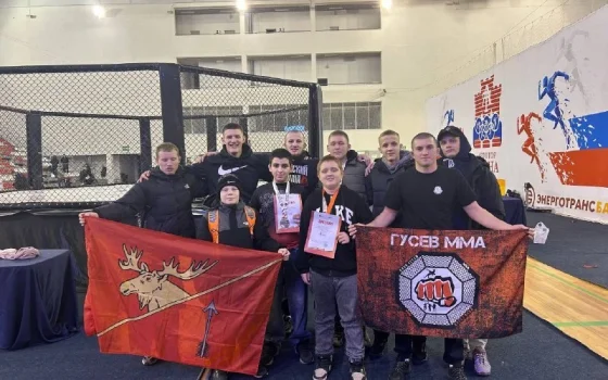 Воспитанники гусевской спортшколы завоевали множество наград на чемпионате области по ММА