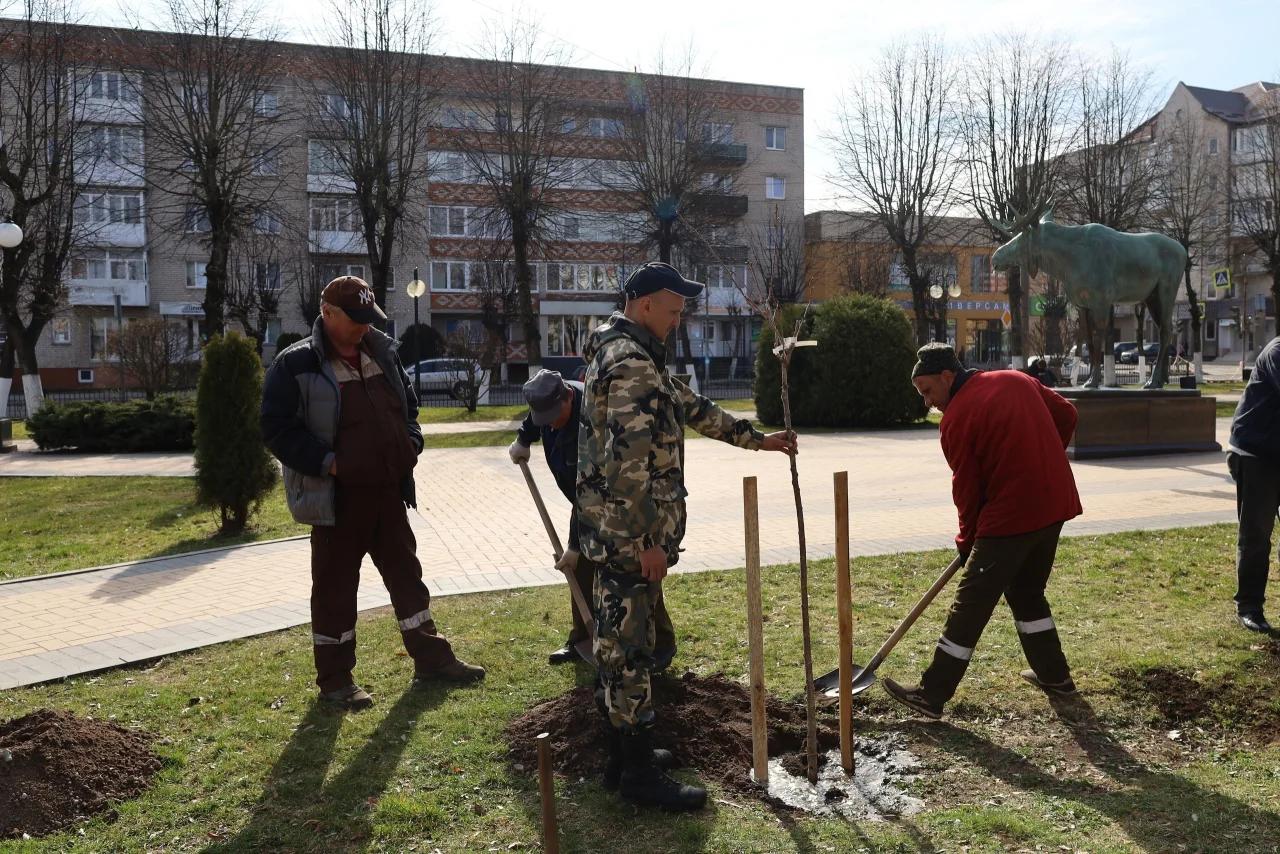 В Гусеве приступили к работам по озеленению города