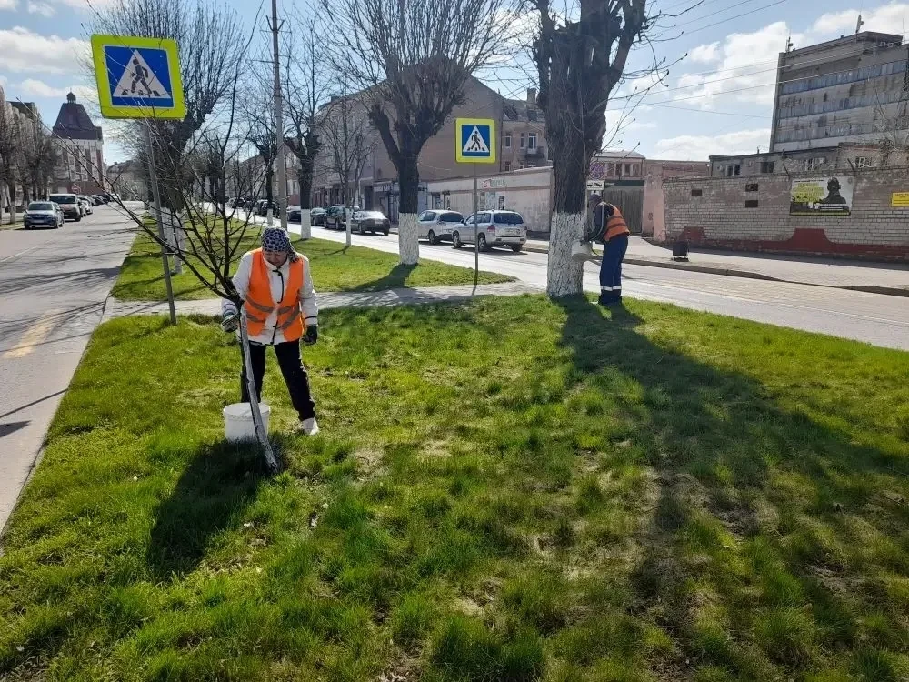 Работники «Чистоты» завершили плановую побелку зеленых насаждений в городе