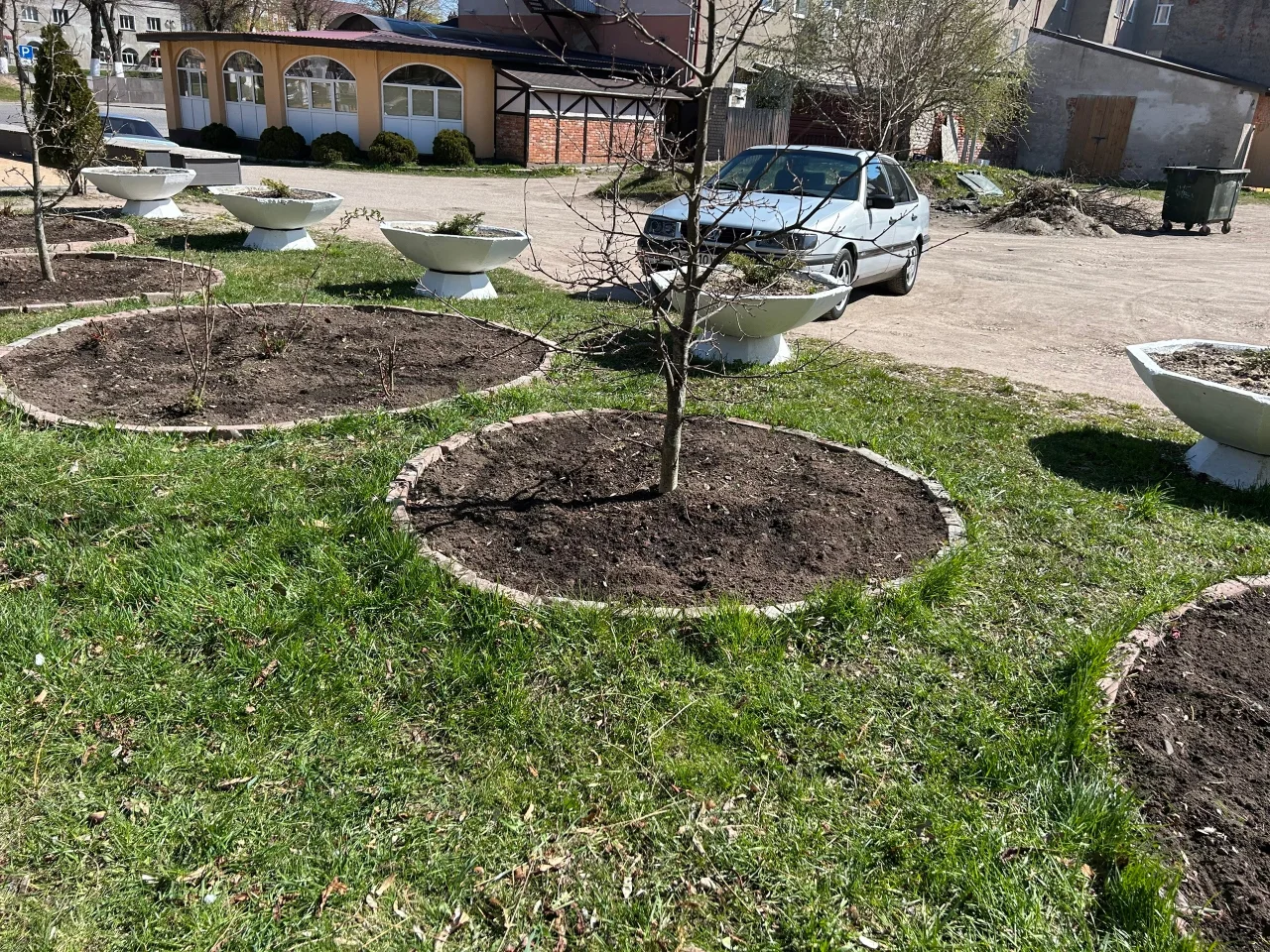 В Гусеве приступили к сезонному уходу за зелеными насаждениями