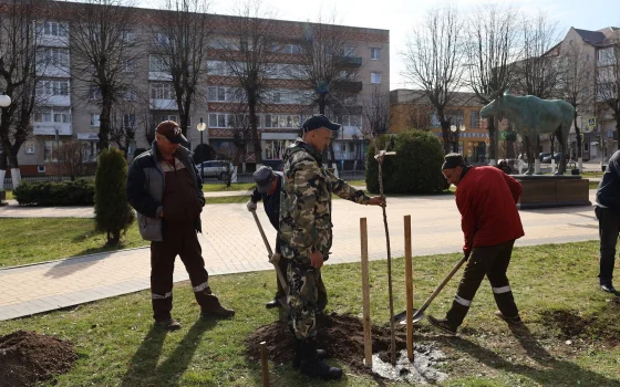 В Гусеве приступили к работам по озеленению города
