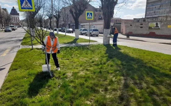 Работники «Чистоты» завершили плановую побелку зеленых насаждений в городе