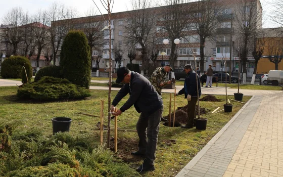 В Гусеве стартовал месячник озеленения