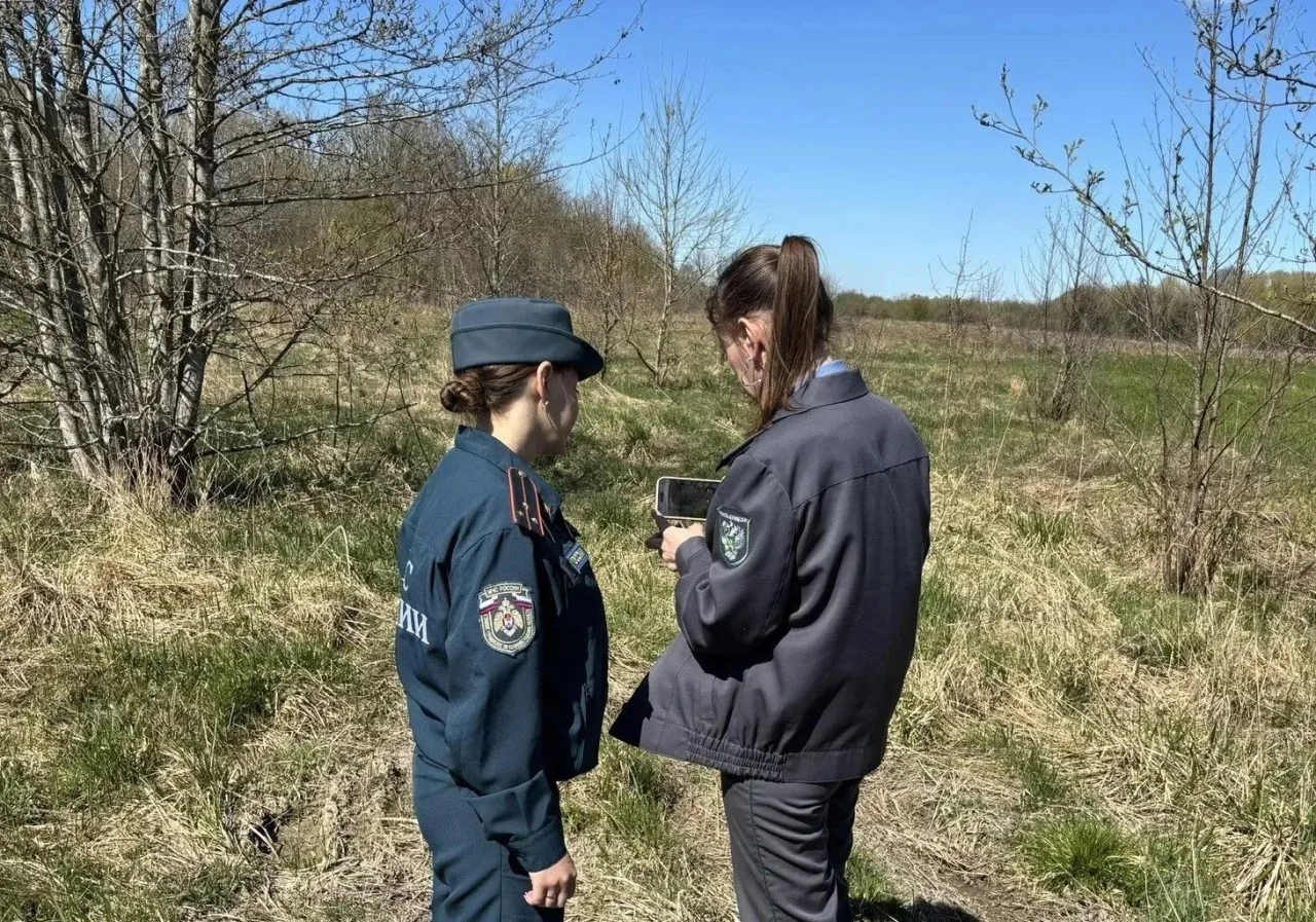 В Гусевском, Озерском и Полесском районах выявили 230 гектаров заросших сельхозземель