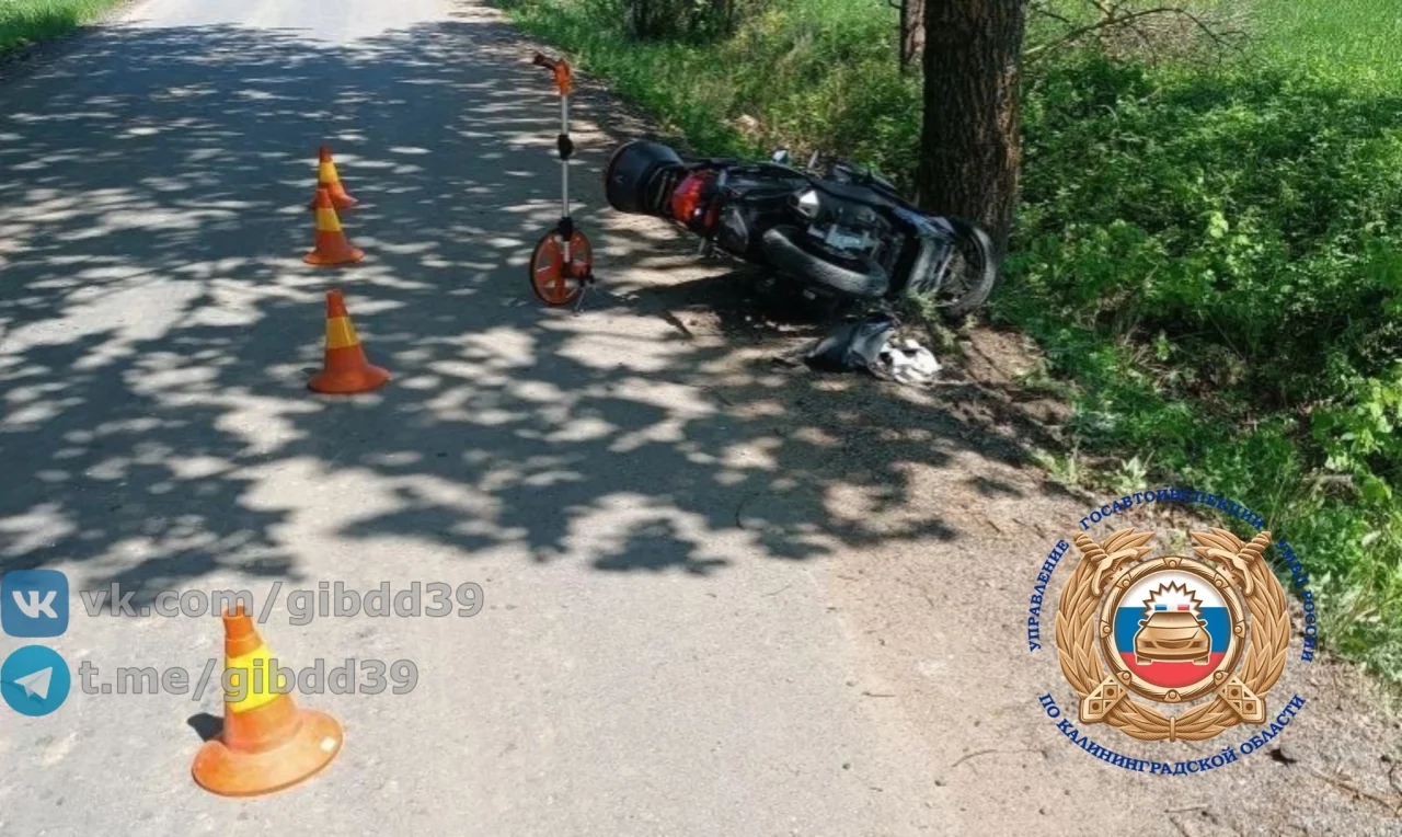В Гусевском районе водитель скутера врезался в дерево