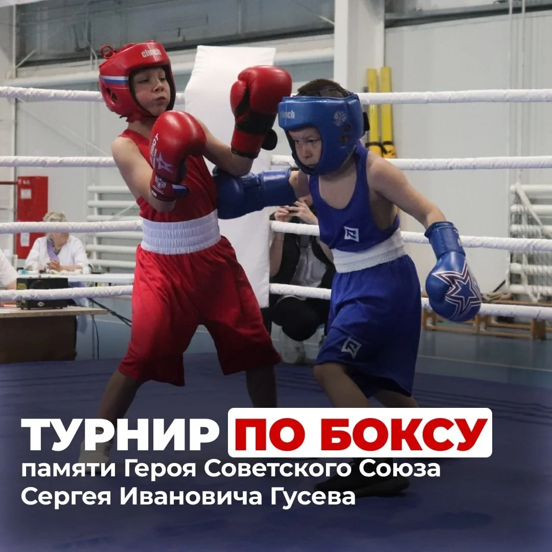 23 и 24 мая в Гусеве пройдёт турнир по боксу