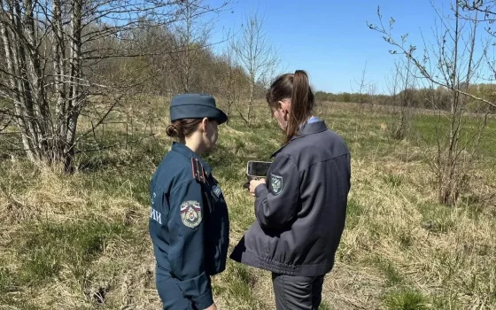 В Гусевском, Озерском и Полесском районах выявили 230 гектаров заросших сельхозземель