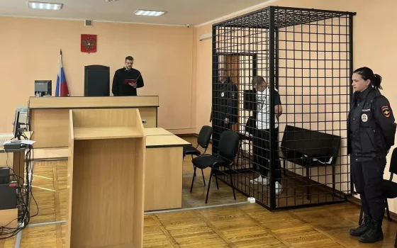 Житель Гусева проведет четыре года в колонии за выстрел в глаз знакомому