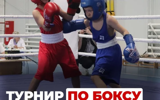 23 и 24 мая в Гусеве пройдёт турнир по боксу