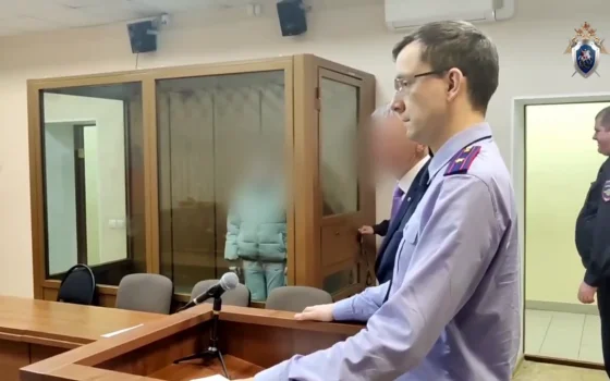Следствие завершило работу по делу об убийстве новорожденного в 2016 году