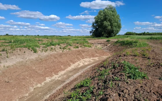Более 8 километров мелиоративных каналов отремонтировали в Гусевском районе
