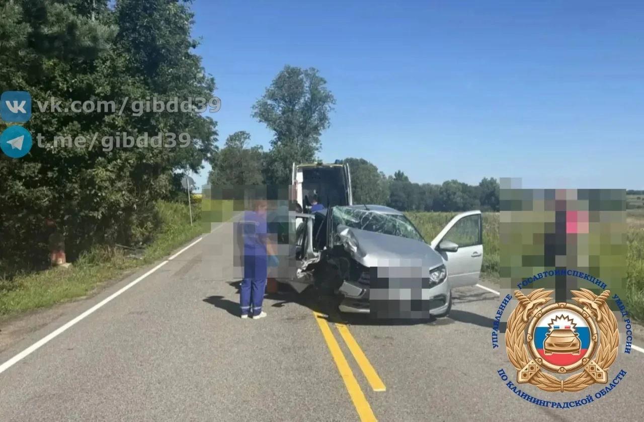 В Гусевском районе автомобиль «Лада» врезался в дерево, пострадала пассажирка