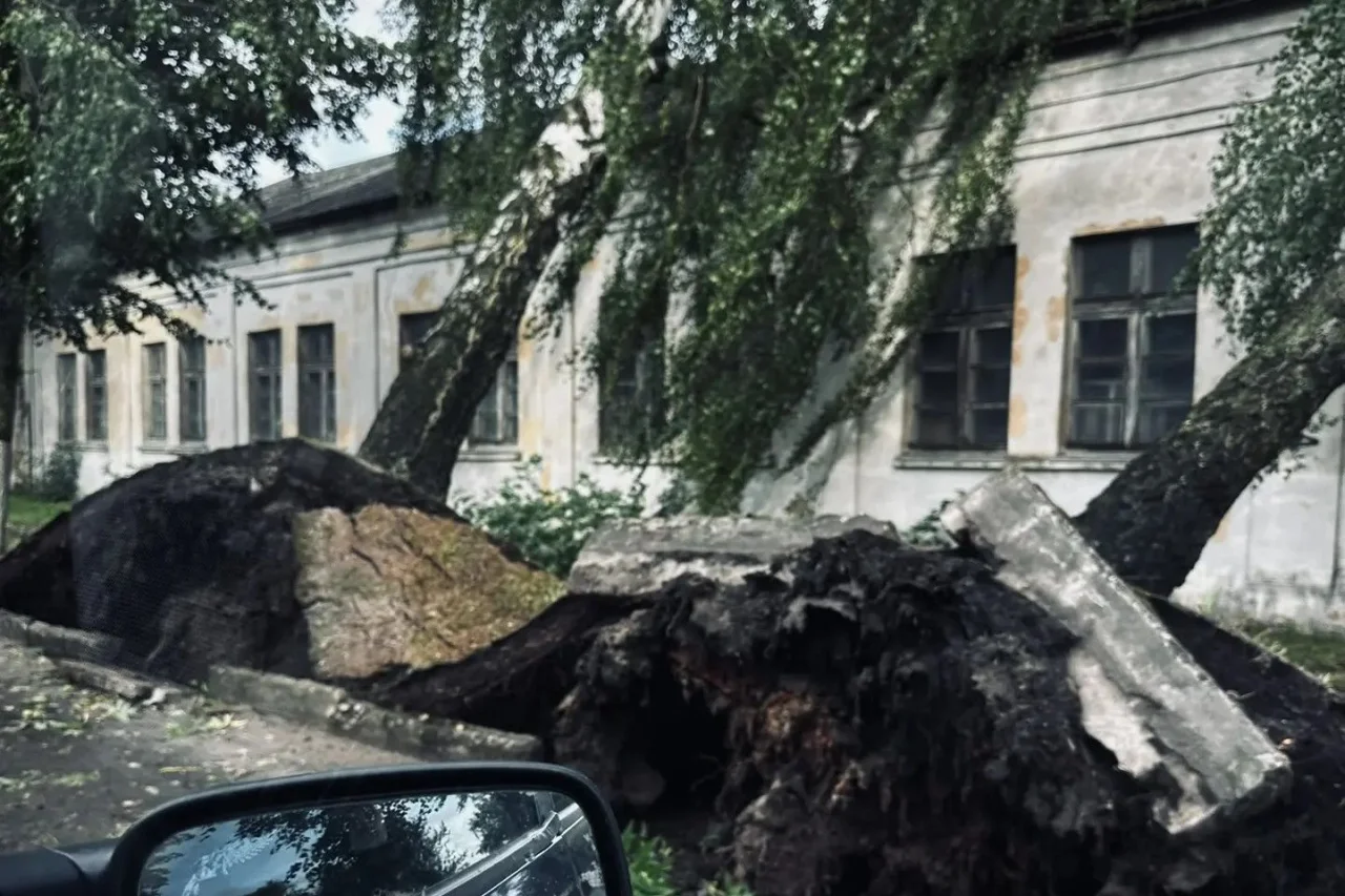 Аварийные службы Гусева ликвидируют последствия разгула стихии