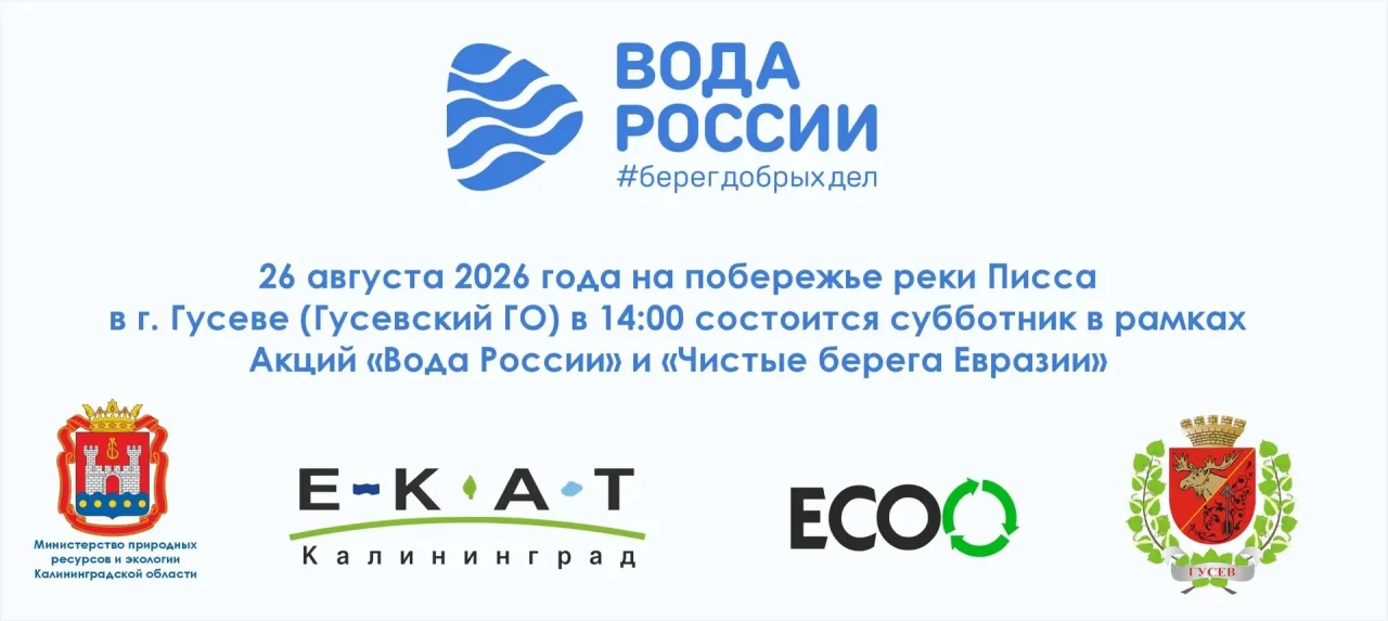 26 августа в Гусеве на берегу реки Писса пройдет экологический субботник