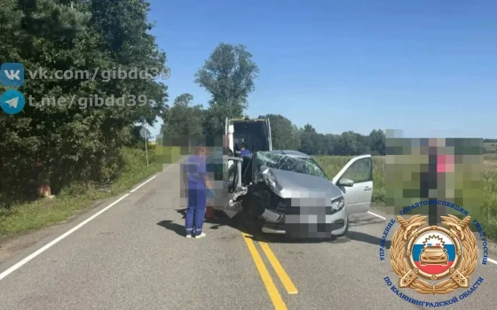 В Гусевском районе автомобиль «Лада» врезался в дерево, пострадала пассажирка