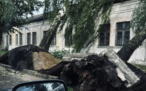 Аварийные службы Гусева ликвидируют последствия разгула стихии