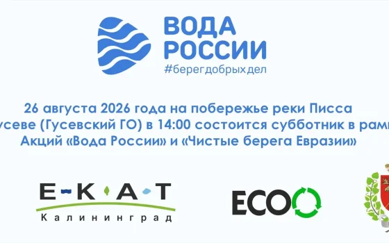 26 августа в Гусеве на берегу реки Писса пройдет экологический субботник