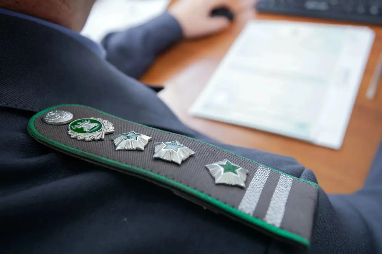 В Гусевском районе выявили партию зараженной кукурузы