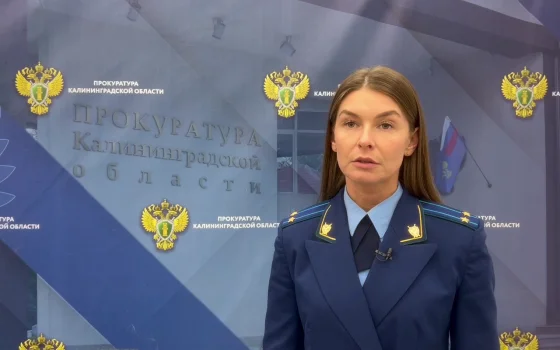 Жителя Гусева будут судить за госизмену и подготовку теракта