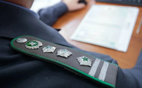В Гусевском районе выявили партию зараженной кукурузы